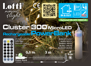 Cluster 3m M-P18 300 MicroLED Telec. IR 21F Christmas Lights