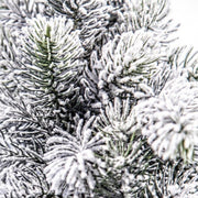 6x Snow-covered Oregon Tree H60