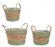 4x Set3 Path 2M Alyce To Verde-Naturale