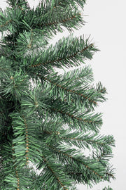 2x Cerano Tree H130-173Branches