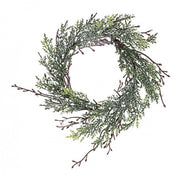 8x Corona White Berry C