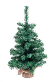 6x Innsbruck H60 Tree