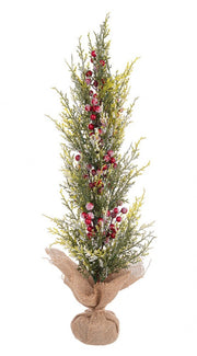 3x Red Berry Jaxon Pine H70Cm
