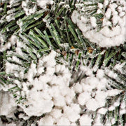 4x Oregon D75 Corona