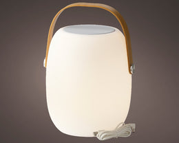 Warm white outdoor LED speaker