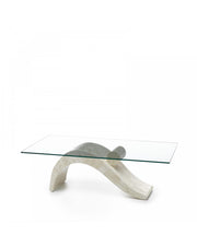Coffee table 120 x 60 - Transparent - Xenon