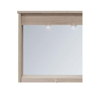 Modern furniture bathroom mirror 1 door with elm flap h.61x73x14