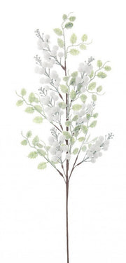 12x White Berry Jillie Branch