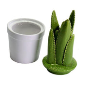 Round ceramic vase with cactus cmø11,5h26,5