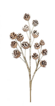 12x Snowy Hartley Pine X14F Branch H51