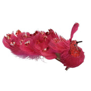 Red feather peacock with clip cm30x5h11