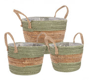 4x Set3 Path 2M Alyce To Verde-Naturale