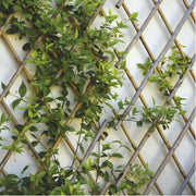 EXTENDABLE TRUSS BAMBOO 90X180