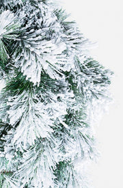 6x Innevato D60 Corona Cermis