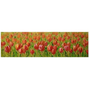 Rectangular painted red flowers picture cm50x150x3
