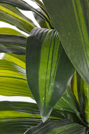 2x Dracena Plant C-Vase 43Leaves H88Cm