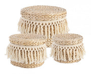 4x Set3 Basket C-Lid Alma To