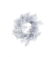 6x Snowy Salzburg Crown D40