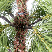 Green grivola tree cmø118h210 with 107 metal base branches