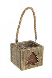 5x Mountain Pine P.Candle