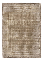 Brown Rashmi carpet 160X230