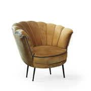 Orel shell armchair in mustard velvet with gray edge