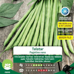 Dwarf Green Bean Seeds Telstar Maxi Bag