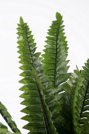2x Fern Plant C-Vase 24Leaves H45Cm
