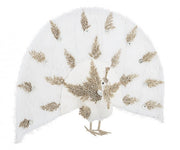 White Front Fairy Peacock H53