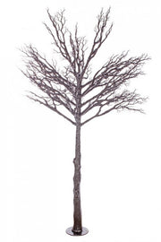 Vienna H230 Black Tree - 230cm