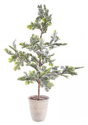 2x Snowy Innevato C Pine