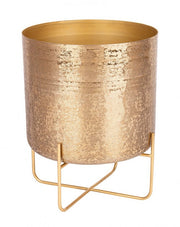 P.Vaso Varanasi Stand To Gold H42