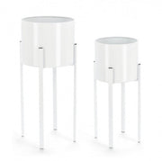 Set2 P.Fiore Ester To Bianco