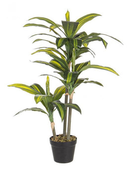 2x Dracena Plant C-Vase 43Leaves H88Cm