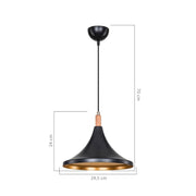 Kano black gold pendant lamp ASZ1564