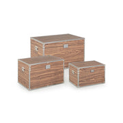 Set of 3 brown elegance trunks