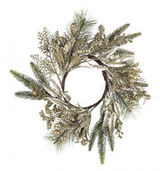 6x Admiral Bacche Oro D35 Corona