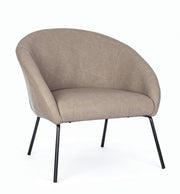 Taupe velvet armchair in design style