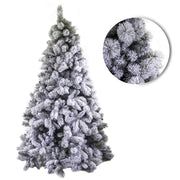 Green Gennargentu tree with snow 1713 branches cmø148h240