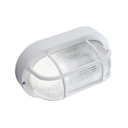 Ceiling C - Resin cage echo oval white line