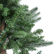 Green bernina tree cmø81h120 with 348 branches