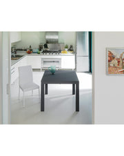 Extendable table 90-163.5 x 90 cm - Banner