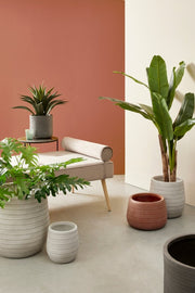 Set3 P.Vaso Braiding To Terracotta