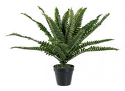 2x Fern Plant C-Vase 24Leaves H45Cm