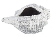 Magnesia Shell Vase 68x38 cm