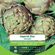 Imperial Star Artichoke Seeds In Envelope