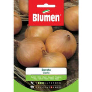 Golden Onion Seeds