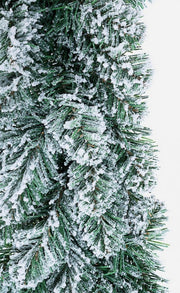 6x Innevato D60 Corona Innsbruck