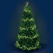 MiniCluster 1000 LED warm white 20.5m