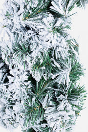 4x Snowy Nantes Stars H60